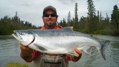 Salmon Run Alaska