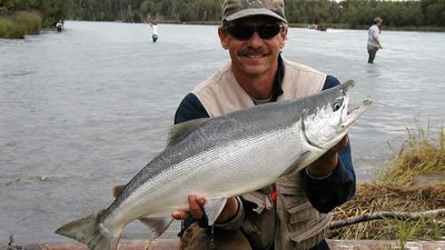 Alaska Sockeye Salmon