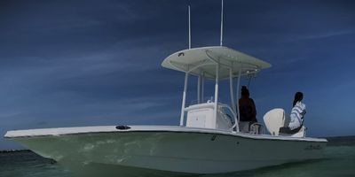 4-Hour Night Shark Fishing Trip (Islamorada)