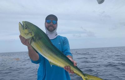 8-Hour Full Day Fly Fishing Charter (Islamorada)