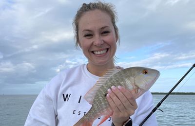 2-Hour Family Fishing Trip (Gulf Side Only)