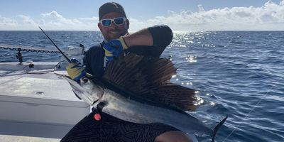 6-Hour Offshore Fishing Trip (Mahi, Tuna, or Sailfish)