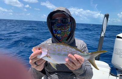 4-Hour Reef Fishing Trip (AM or PM – Islamorada)