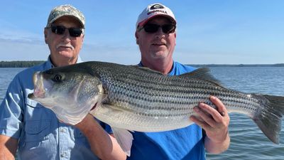 Clarks Hill Lake, SC Full Day Fishing Trip