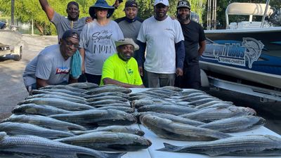 Clarks Hill lake, SC Prime Fishing Adventure