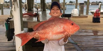 Orange Beach Fishing Charters