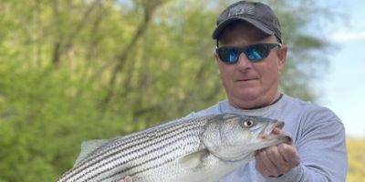 Fishing Guide Lake Lanier  |  5 Hour Trip – Lake Lanier Striper