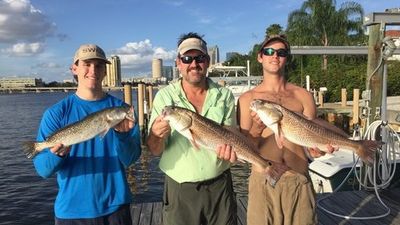 4 Hour Sunrise Special Fishing Trip - Tampa, Florida