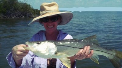 2 Hour Beginner Fishing Trip - Tampa, Florida