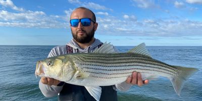 Striped Bass & Bluefish – 4-5 Hour Charter