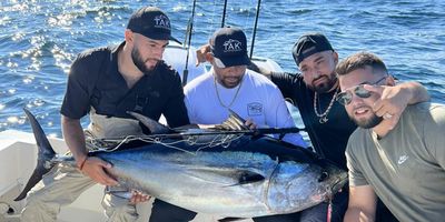 Offshore Bluefin Tuna – Full Day Charter