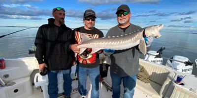 Fishing Charters California:  | Private 8 hour Seasonal Sturgeon Special