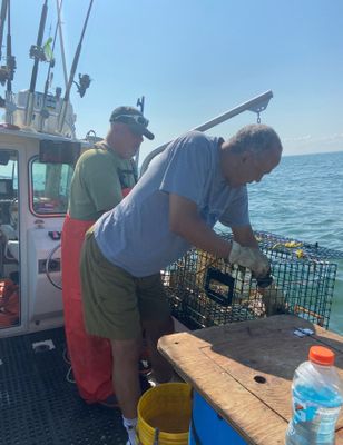 Lobster Charters Boston Harbor -4 Hour Charter Trip for 4 Anglers