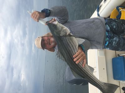 Boston Pickup/Drop-off Striper/Bluefish charter