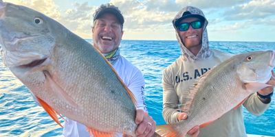 Fort Lauderdale Fishing Charters | 4, 6 or 8 Hour Offshore Trips 