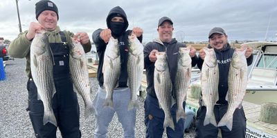 Barnegat Light Fishing Charters |  Half Day Fishing Trip