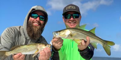 Charter Fishing Boca Grande