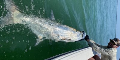 Boca Grande Tarpon Fishing