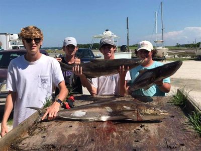 Chesapeake Bay Charter Fishing | 4 To 8 Hour Charter Trip 