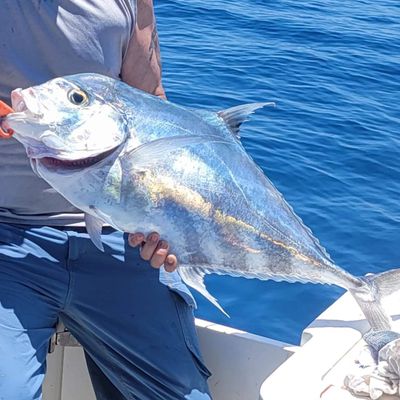 8- or 10-hour Charter Fishing Florida