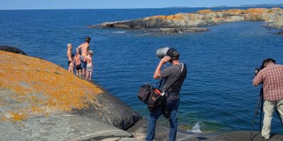 Marinas Georgian Bay | Devils Elbow Picnic & Tour