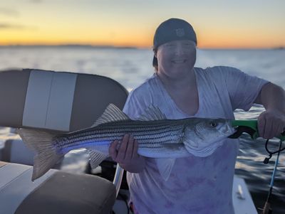 Weekday Half Day Morning Striped Bass (Catch and Release)