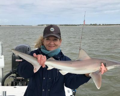 NSB Fishing Charters | Shark Trips