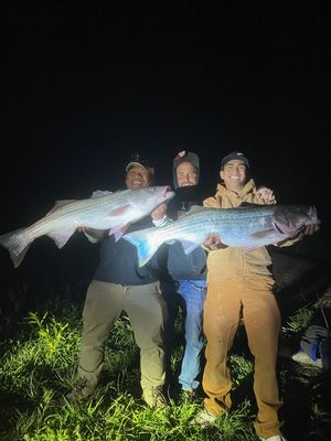 Sacramento River Fishing Adventure