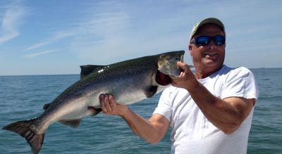 Lake Erie Walleye Charters | 8 Hour Shared Trip Minimum of 4 Guest