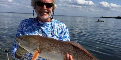 Tampa Fishing Charters - 2 Hour Inshore Seasonal Trip 	