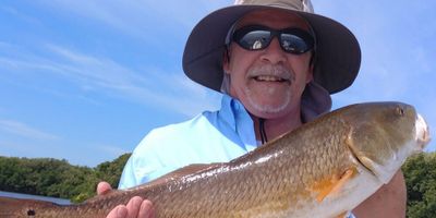 Fishing Charters Tampa - 4 Hour Inshore And Nearshore 