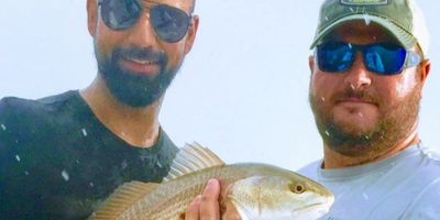 Apollo Beach Fishing Charters - 2 Hour Seasonal Trip 	