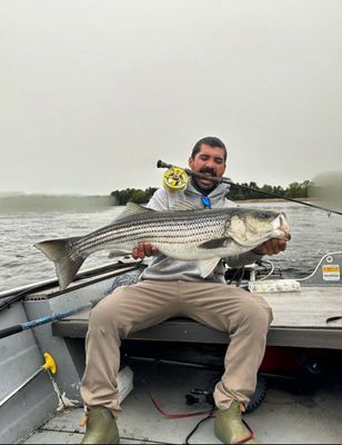 Fly Fishing (6 Hours - AM Departure)