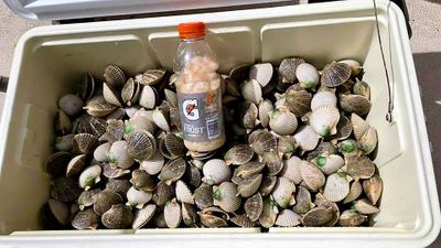 Florida Scalloping Charters | 8 Hour Scalloping Inshore Trip