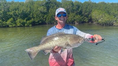 Full Day Pine Island Inshore Fishing Charter