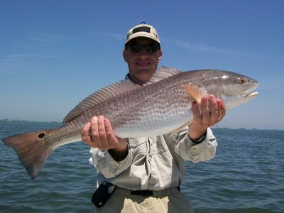 Clearwater, FL Half Day Fishing Trip