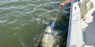 Tarpon Fishing in Texas | 6 HR Private Trip