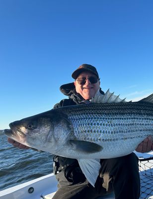 Trophy Striped Bass Chesapeake Beach Md