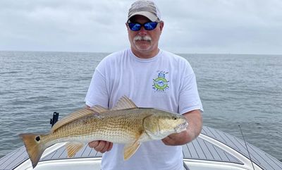 Pensacola Inshore Fishing