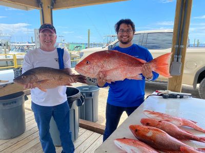 Gulf of Mexico Fishing Charters