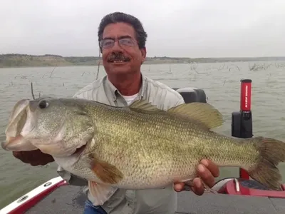 Private 8-Hour Bass Fishing Trip