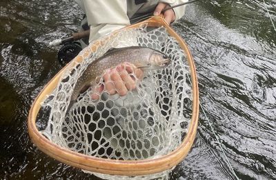 Adirondack Fly Fishing Day Trip