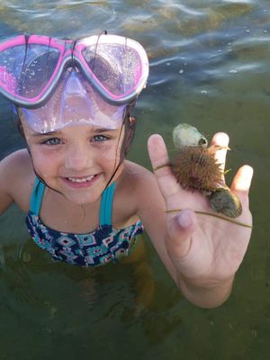 Scallop Trip (AM) - Port St. Joe, FL