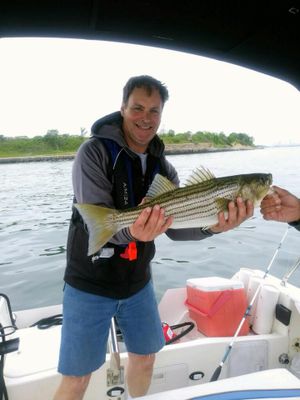  Striped Bass fishing