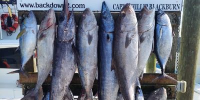 Destin Florida Fishing Charters