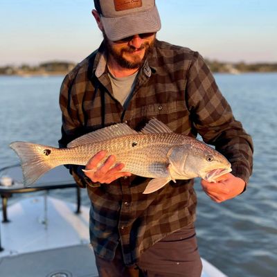 St Pete Fishing Charters | Fly Fishing and Light Tackle Trips 4 Hours