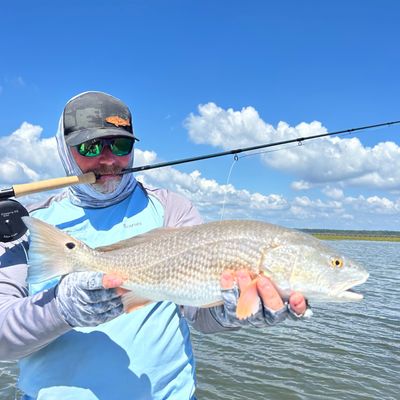 Fishing Charters Tampa Bay | Inshore Light Tackle and Fly Fishing- 4 Hour Trip