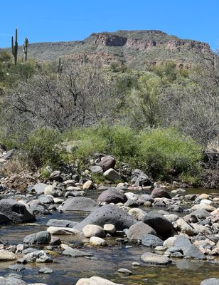 Arizona Birding Tours | Maximum of 8 Guest