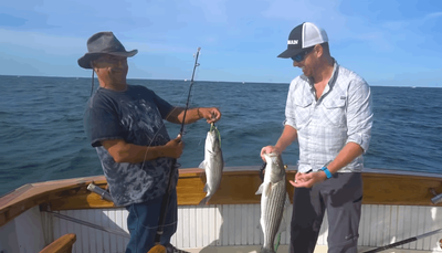 Full Day Inshore Fishing Charter in Cape Cod Bay (8 hours)