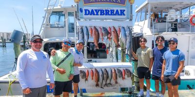 Florida Fishing Charters | Seasonal 4 to 8 Spring or Fall Charter Trip (Daybreak)